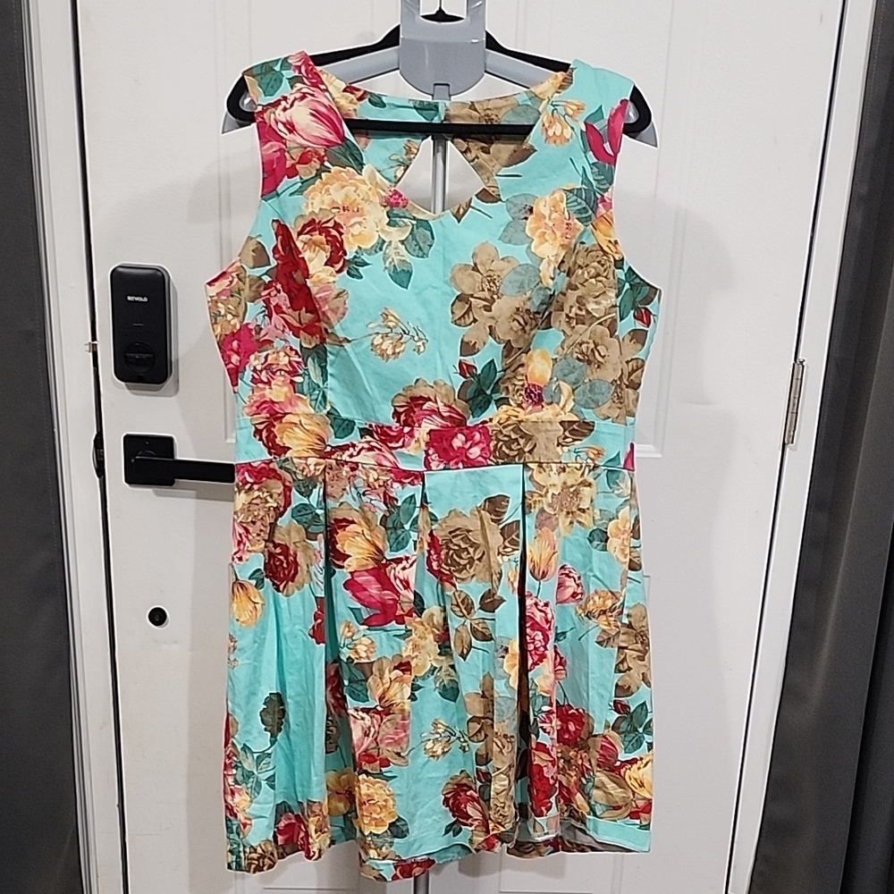 Tiana B Floral Sleeveless Dress Plus Size 18